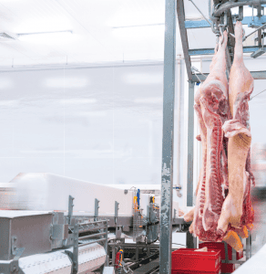 Food-Processing