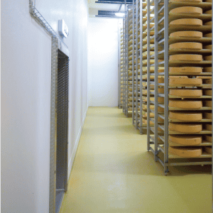 Food-Processing-4