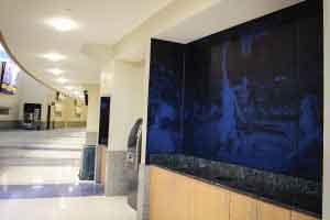 Impact Resistant Wall Panels
